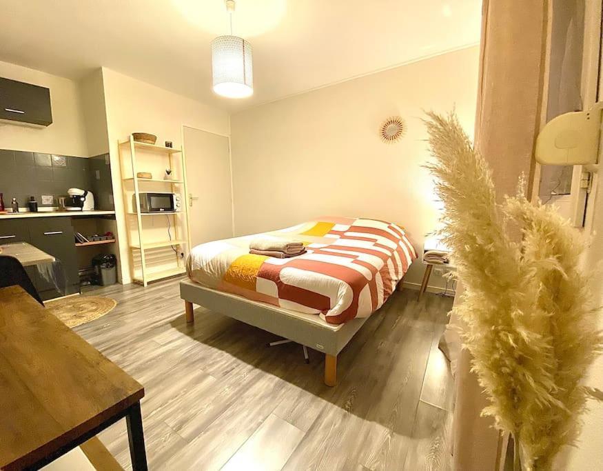 Au Calme Confort & Proche Centre Apartment Le Mans Exterior photo